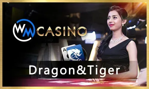 Online Slots Gaming